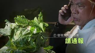 國際植物健康年_防疫版