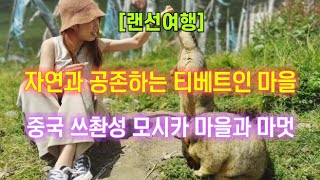 [랜선여행] 자연과 공존하는 티베트인 마을과 귀여운 마멋 🏞 중국 쓰촨성 모시카 Mosika 마을 🏯