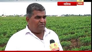 Nashik: farmer success story