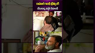 రాహుల్ గాంధీ ట్రిమ్మింగ్ చేసుకున్న కుర్చీకి డిమాండ్ #rahulgandhi #trimming #viralnews  #sumantv