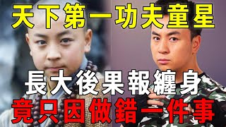 2歲進少林寺5歲成巨星，他被譽為成龍李連傑接班人，長大後果報纏身命苦福薄，竟只因做錯一件事！【曉書說】#釋小龍