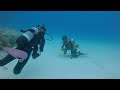 沖縄石垣島 黒島 cc にてスキューバダイビング。白砂広がる水中で癒される。 scuba diving for healing in kuroshima is. okinawa japan.