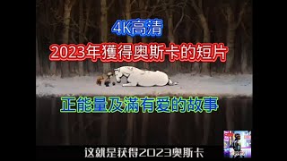 4k高清/2023年獲得奥斯卡的短片/正能量及滿有爱的故事