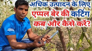 एप्पल बेर की कटिंग कब और कैसे करें / Apple Ber Pruning Time / Apple Ber Farming / Green Farm