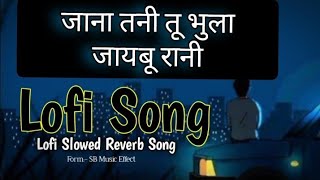 Jana Tani Tu Bhula Jybu Rani Lofi Slowed Reverb Song√ जाना तनी तू भुला जयबू रानी Lofi slowed Reverb