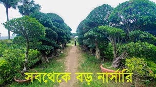 বাগান প্রেমীদের জন্য সবথেকে বড় নার্সারির ঠিকানা | আরামবাগ নার্সারি ও পল্লীশ্রী নার্সারি ভ্রমণ |