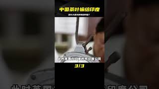 中國是茶葉大國，壟斷世界茶葉貿易，為何最后卻被印度茶擊敗？