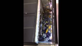 Shakes fishtanks 3 150 gallon freshwater aquariums in an of