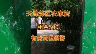 天津郊区农家院月租500.暖气空调太阳能核桃随便吃，有点贵但很香