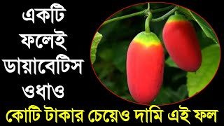 একটি ফলেই ডায়াবেটিস খতম! || এর চেয়ে দামি ফল পৃথিবীতেই নেই | তেলাকুচার পাতা ও ফল পৃথিবীর সব রোগের ঔষধ