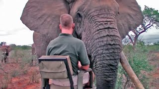 Extremely Close Elephant Encounter