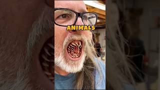 People who got plastic surgery to look like animals #animals #youtubeshorts #facts  #shortsvideo