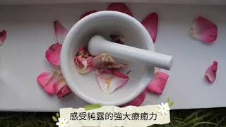 德國芳療大師給你76種純露最新資料與200種應用配方，溫和保養皮膚與健康，讀《純露芳療大百科》