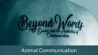 Beyond Words | Animal Communication || Radcliffe Institute
