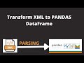 Transforming XML Document into Pandas DataFrame in Python