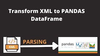 Transforming XML Document into Pandas DataFrame in Python