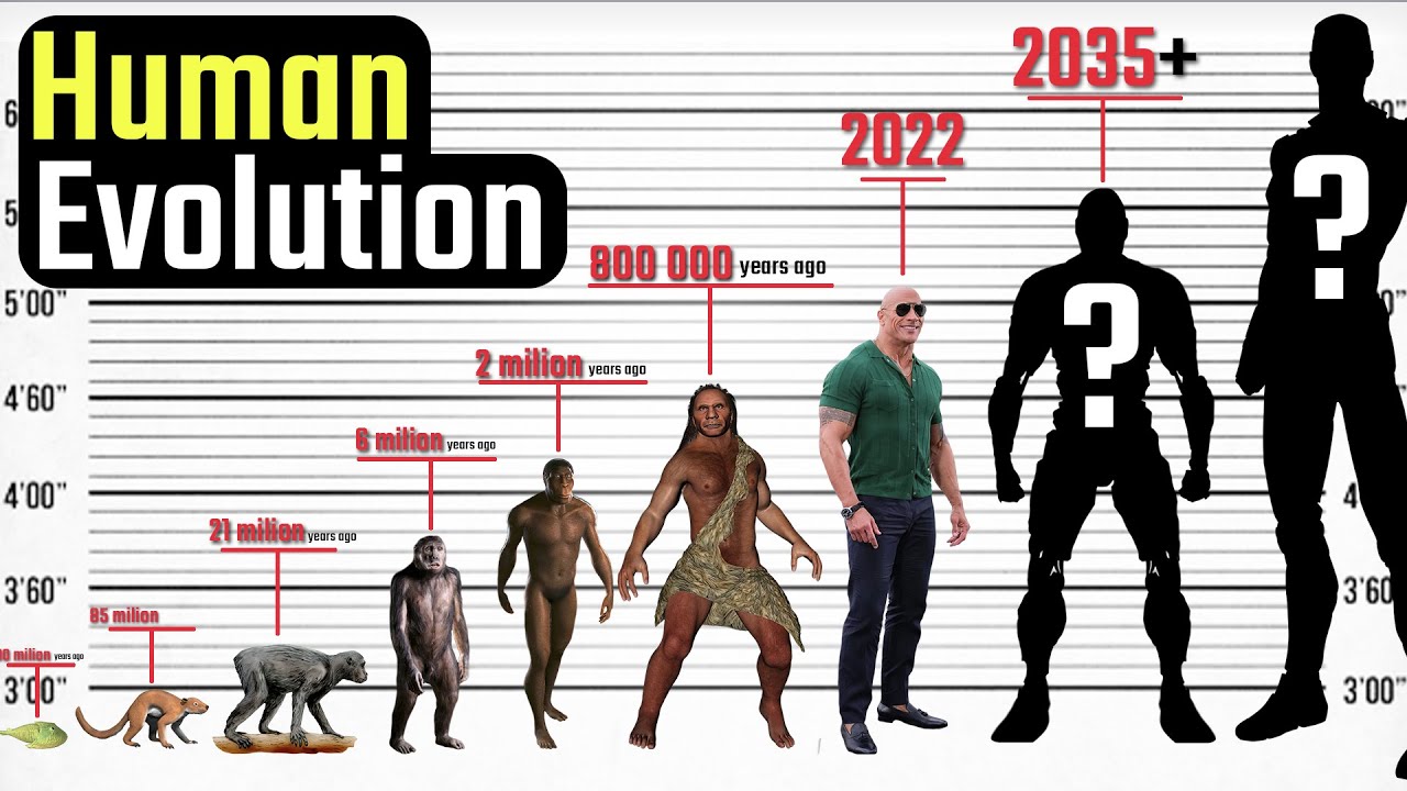 Human Evolution. From The Deep Antiquity To The Distant Future - YouTube