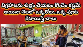 ఎంత బిజీగా ఉన్నా ఒక్క పూట కేటాయిస్తే నెలంతా కన్నుల పండుగగా ఉంటుంది..Brass idols cleaning