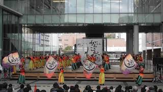 「同志社大学 よさ朗『千代綴』」浜よさ がんこ祭2019 2日目