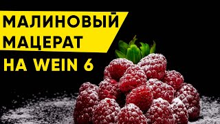 Малиновый мацерат на Wein 6. Подробный обзор процесса