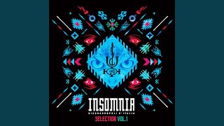 Insomnia Selection, Vol. 1 (Continuous Mix)