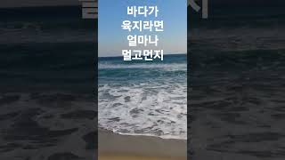 그립습니다 레전드조미미가수님