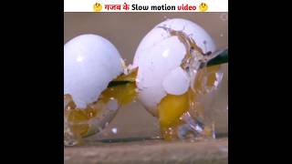 🤔 Slow motion के गजब करनामे l#shorts #shortsfeed #top10 #trending #viral #facts #viralvideo  🤔