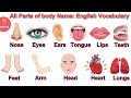 Parts of the Body in English | Parts of Body Name with Pictures | #bodyparts #englishvocabulary