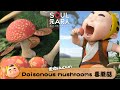 Poisonous mushrooms 🐯☠️ 毒蘑菇【 Little Tiger HuDun 虎墩小镖师 】ENG SUB 中英｜可愛虎墩｜原創動漫｜鏢師