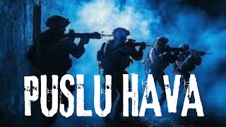 Kurt puslu havayı sever. Sisli havada ilerliyorlar