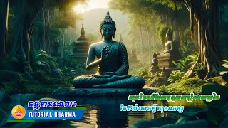 Tutorial Dharma: សុចរិតធម៌ដែលបុគ្គលសន្សំដោយប្រពៃ តែងនាំសេចក្តីសុខមកឲ្យ