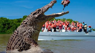 10 BIGGEST Crocodiles In The World!
