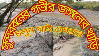 সুন্দরবনের খাড়ি|সুন্দরবন জঙ্গল|চলুন যাই সুন্দরবন খড়ির ভেতর|Sundarbans Canal|Sundarbans forest.