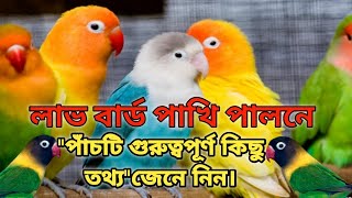 লাভ বার্ড পাখি পালন পদ্ধতি ও,''লাভ বার্ড পাখি পালনের কিছু গুরুত্বপূর্ণ তথ্য'' জেনে নিন.Ms masum vlog