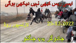 Jadugar vs jugno horse race lanrnspoor road 14 kilometres