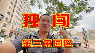 冒死实拍金三角诈骗园区，街上的黄赌毒产业都是公开的，背后做的事才吓人！