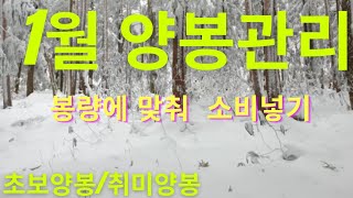 2022 01 08 《1월의 양봉관리》 현재 벌상태를 확인하고 봉양에 맞춰서 소비넣기에 대하여 설명해봤습니다 초보양봉/취미양봉/귀농/귀촌