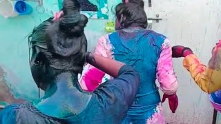 Holi Putai 441.