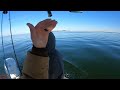 epic trophy striped bass fishing full day of chesapeake bay striped bass fishing