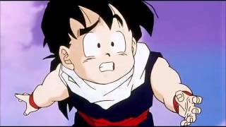 Gohan Vs Chi Chi (Full Fight)