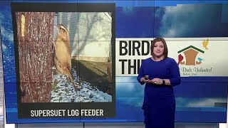 BIRDIE THIRTY: SuperSuet - Log Cylinder Feeder - EWN at 5:30am on 2-2-2025