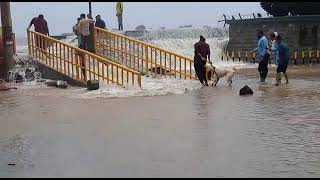 RAIGAD ALIBAG Samudra || Beach ||