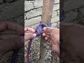 a strong knot around the 🌲 knot knottying rope survivalknots