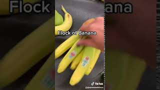 Banana Banana (original viral tiktok song)