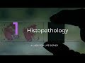 Histopathology