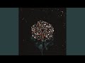 V Forme Roz (Mente Organica Remix)