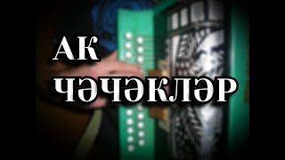 АК ЧЭЧЭКЛЭР на гармони + РАЗБОР.