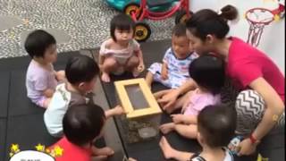 貝比鹿/貝安托嬰中心/貝安幼兒園 2015/6/30 認識寄居蟹