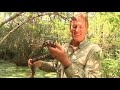 coastal kingdom season 2 episode 1 – ‘lowcountry snakes’ full episode