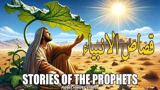 قصص الانبياء - Qasas ul Anbiya - Prophet Stories by Adeel Haider | Islamic Stories